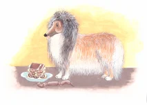 Šausmīgās pasakas — ilustrācija